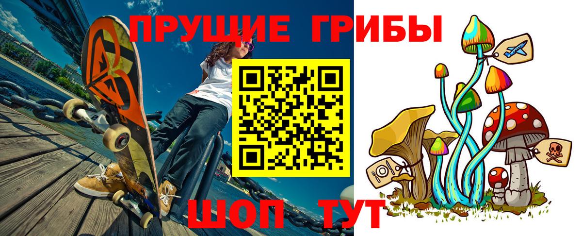 Галлюциногенные грибы Psilocybine cubensis Ипатово