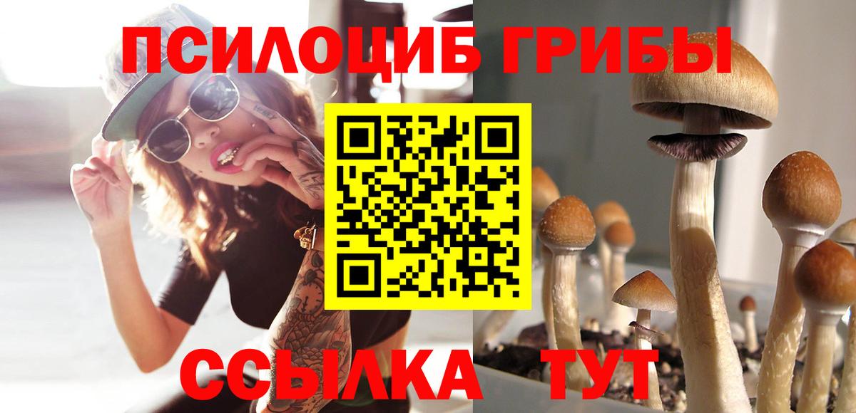 Ипатово  Псилоцибиновые грибы Psilocybine cubensis  Псилоцибиновые грибы Magic Shrooms  Вход с VPN 